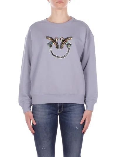 Pinko Sweaters In Polvere Grigio