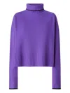 Pinko Wool And Cashmere Turtle Neck Pullover In Purple