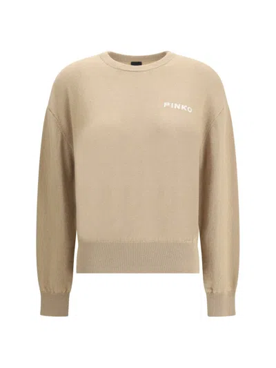 Pinko Sweatshirts In Brown