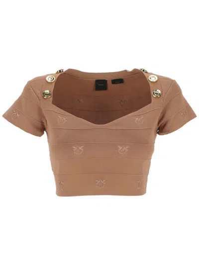 Pinko T-shirts And Polos In Brown