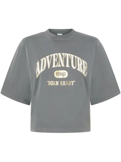 Pinko T-shirts And Polos In Grigio-gabbiano