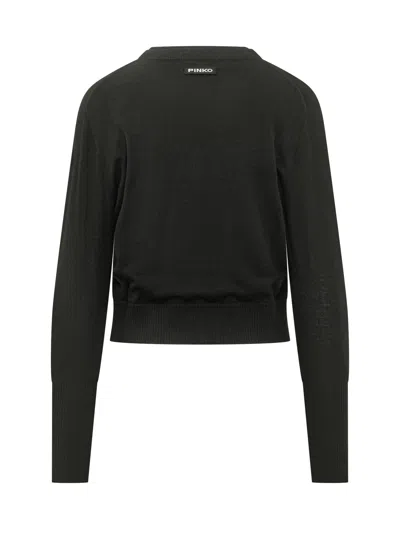 Pinko Tallin Cardigan In Nero Limousine