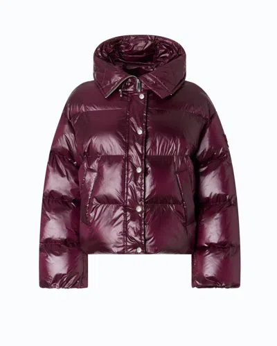 Pinko - Technical Canvas Jacket With Hood - Xxs In Multi