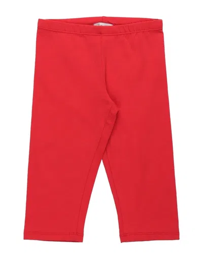 Pinko Up Babies' Pants In Red