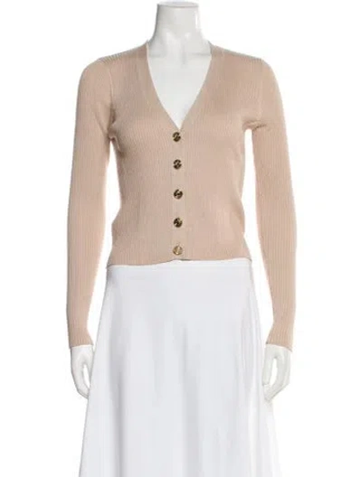 Pre-owned Pinko V-neck Sweater In Multi