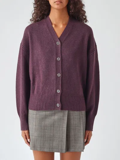 Pinko V-neck Wool And Cashmere Blend Cardigan With Button Closure In Brown