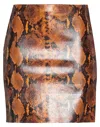 Pinko Mini Skirts In Brown