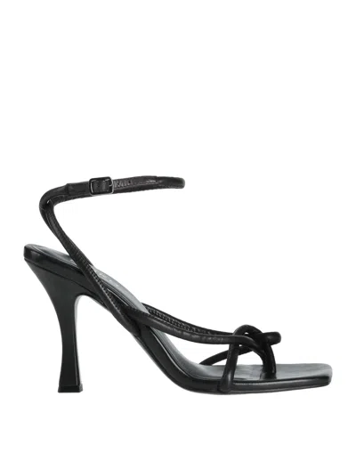 Pinko Sandals In Black