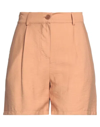 Pinko Woman Shorts & Bermuda Shorts Apricot Size 10 Viscose, Polyamide In Orange