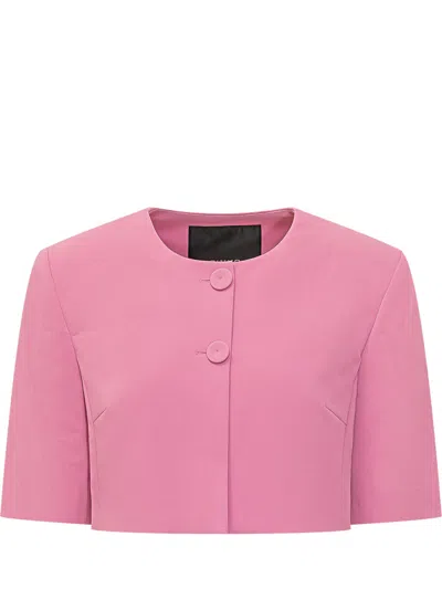 Pinko Platano Cropped Jacket In Multi