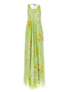Pinko Robe Longue Plissée À Imprimé Floral In Green