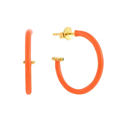 Pinnole Women's Gold Orange Earrings