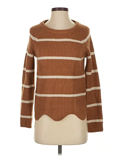 Pre-owned Pinque Pullover Sweater In Brown