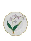 Pinto Paris Histoires D'orchidees Dinner Plate (16cm)