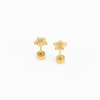 Pip Pop Beaded Star Earring In Gold