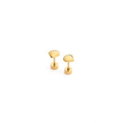 Pip Pop Kids'  Seashell Stud Earrings