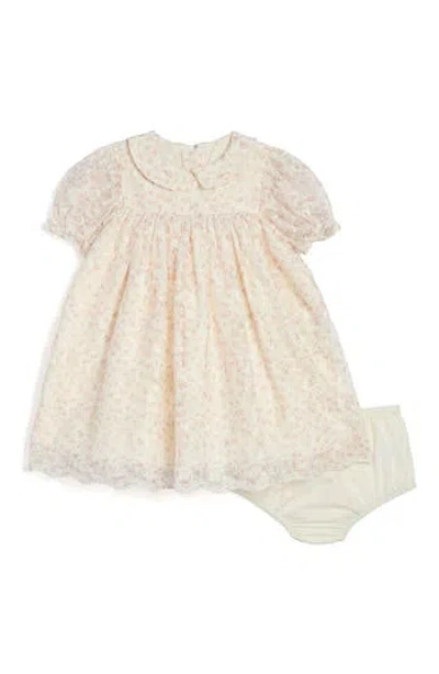 Pippa & Julie Babies'  Collared Mesh Dress In Neutral