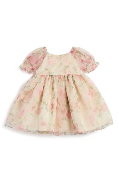 Pippa & Julie Babies'  Emilia Floral Print Party Dress & Bloomers In Neutral