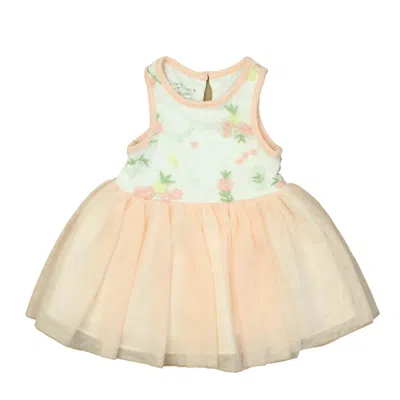 Pre-owned Pippa & Julie Kids' Girls Pink White Floral Dress In Blue