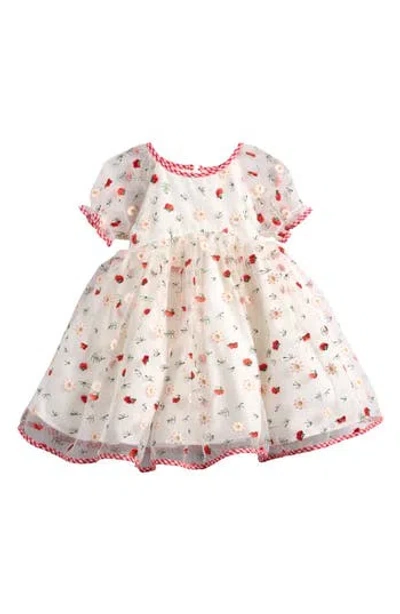 Pippa & Julie Kids' Daisy Embroidered Mesh Party Dress In White