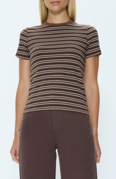 Pistola Alba Cotton T-shirt In Multi