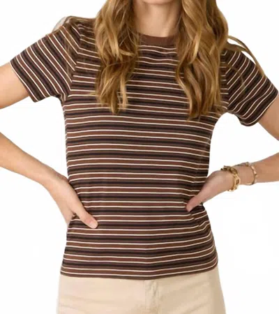 Pistola Alba Shrunken Tee In Burna Black Stripe In Brown
