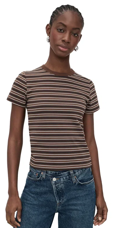Pistola Alba T-shirt Bruna Black Stripe In Brown