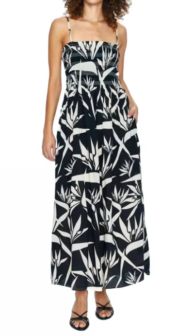 Pistola Bianca Dress In Birds Of Paradise In Black