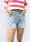 PISTOLA CONNOR HIGH RISE SHORTS IN OAHU VINTAGE