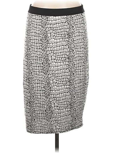 Pre-owned Pixley Formal Skirt In Silver