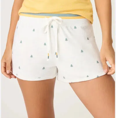 Pj Salvage Campfire Shorts In H Cloud In White