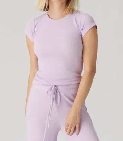 Pj Salvage Lacey Basics Pajama Set In Lavender Glow In Purple