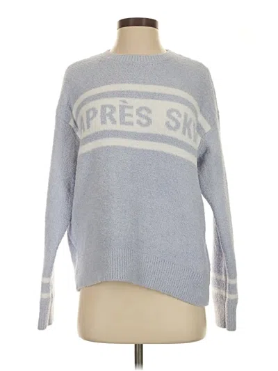 Pre-owned Pj Salvage Pullover Sweater In Blue