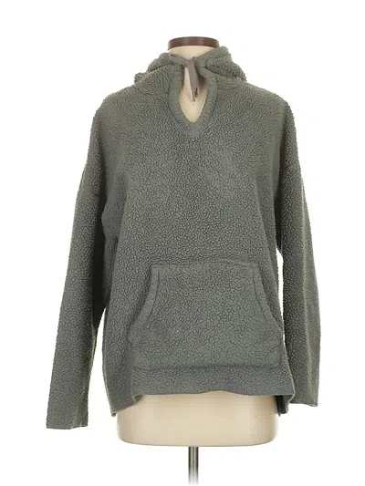 Pre-owned Pj Salvage Pullover Sweater In Gray