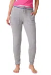 Pj Salvage Sweater Weather Drawstring Pants In Grey
