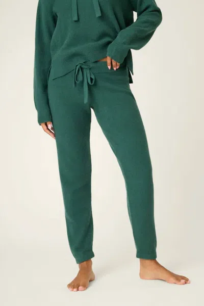 Pj Salvage Sweater Weather Forest Banded Pants In Green