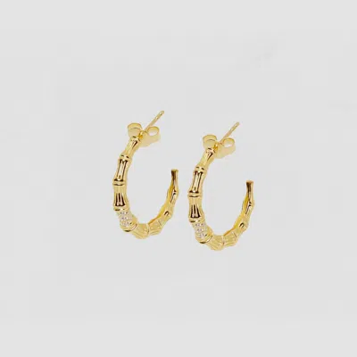 Pk The Pavé Bamboo Hoop Earrings