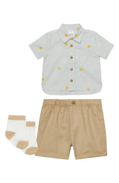 Pl Baby By Petit Lem Cotton Button-up Shirt, Shorts & Socks Set In Beige Stripe