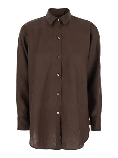 Plain Brown Shirt With Classic Collar And Long Sleeves