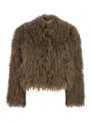 Plain Textured Brown Tibet Fur Short Jacket In Brown
