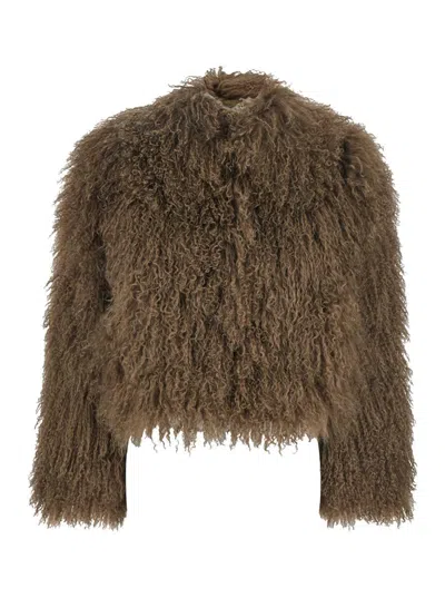 Plain Tibet Fur Short Jacket In Brown