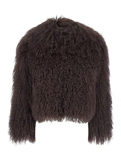 PLAIN TIBET FUR SHORT JACKET