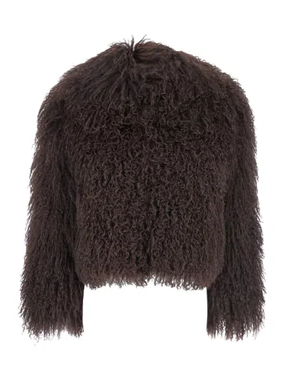 PLAIN TIBET FUR SHORT JACKET
