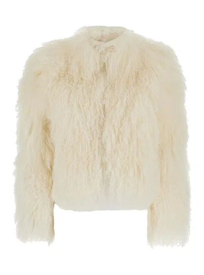 PLAIN PLAIN TIBET FUR SHORT JACKET