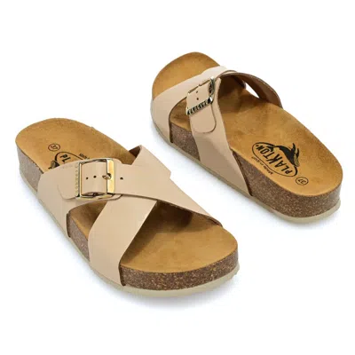 Plakton Baker Slide Sandals In Brown
