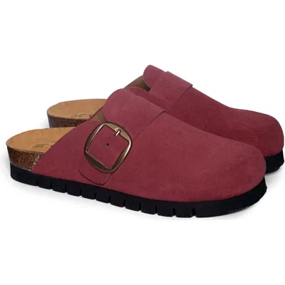 Plakton Bell Clog In Burgundy