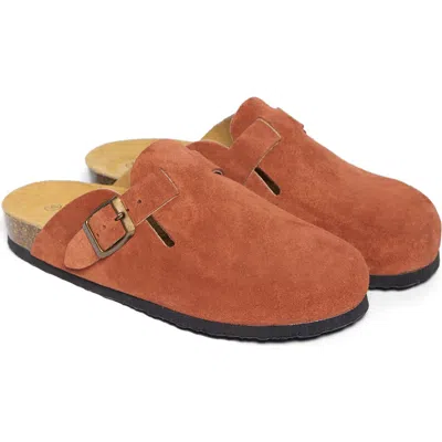 Plakton Blogg Clog In Burgundy