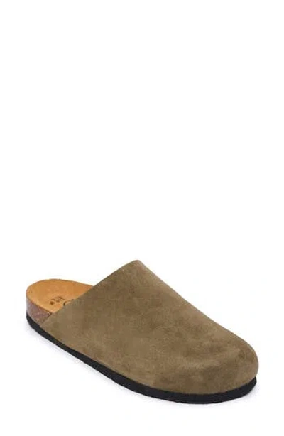 Plakton Brooke Clog In Green