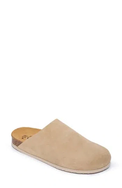Plakton Brooke Clog In Neutral