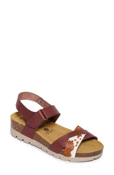 Plakton Camellia Sandal In Pelo Pony Vaquetilla Print